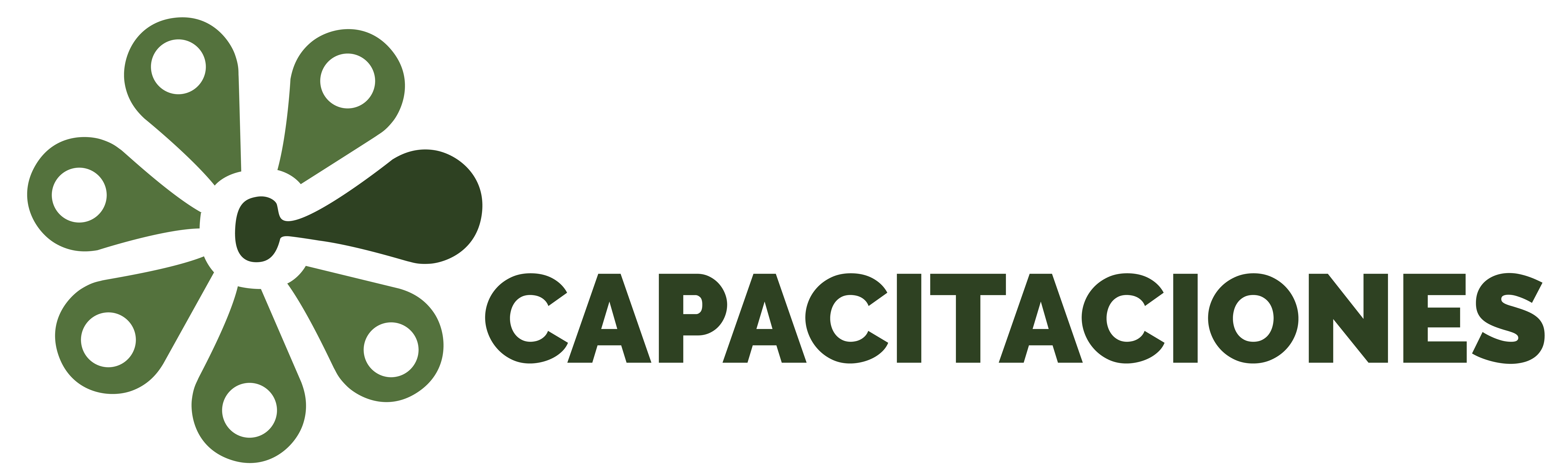 Capacitaciones